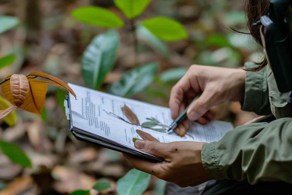 estudo de fauna e flora